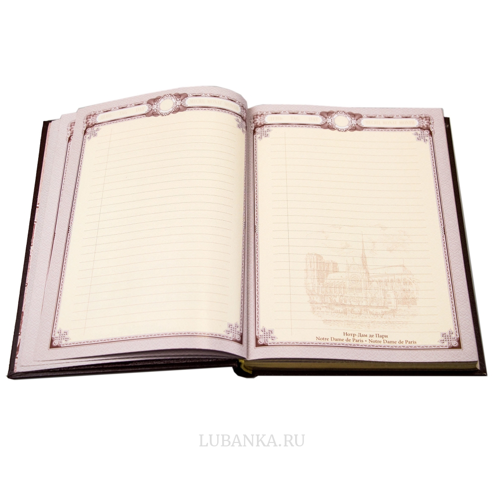 Ежедневник кожанный «Медику»